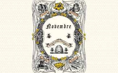 Il Calendario dell’apicoltore: NOVEMBRE